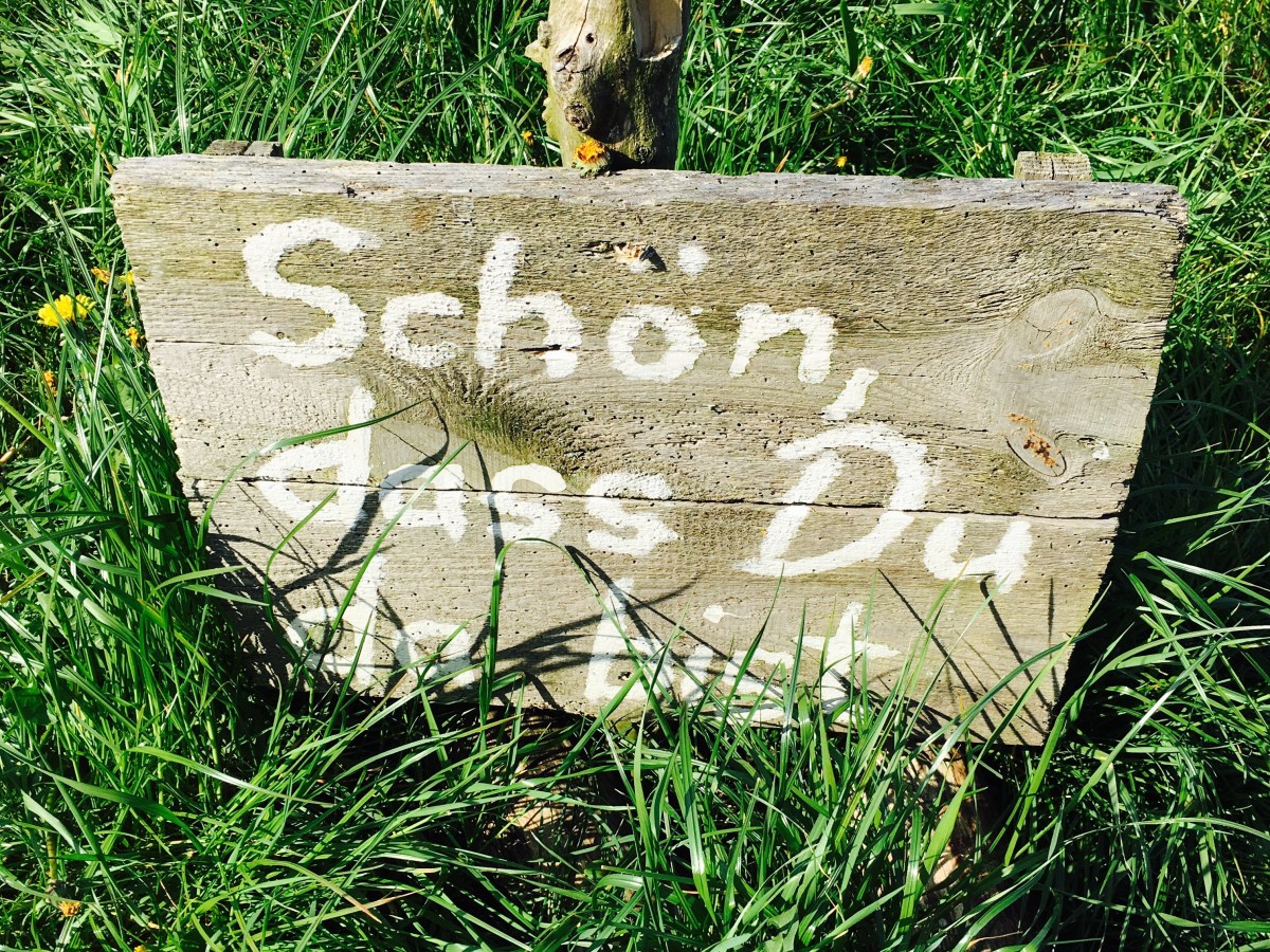 Mein Weg zurück zu mir -Coaching&Psychotherapie