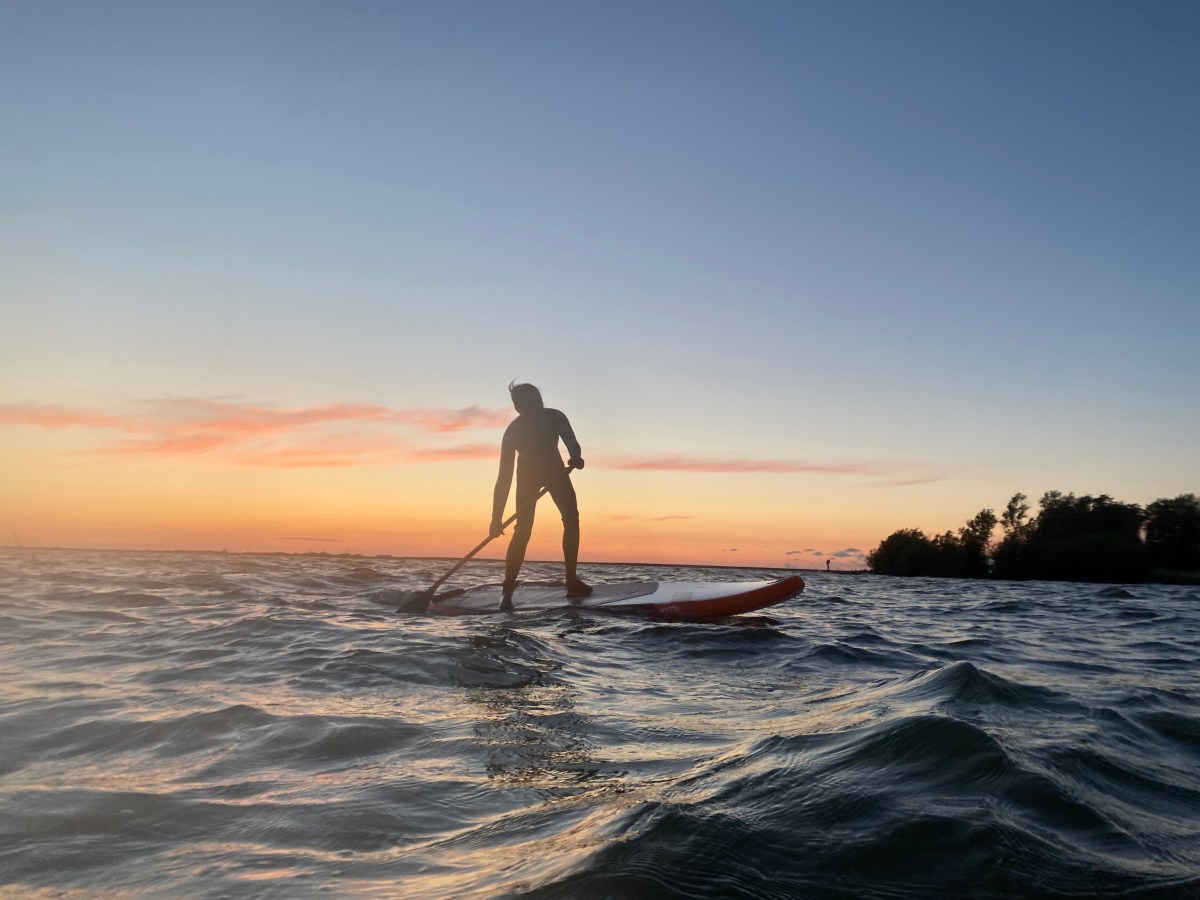 Wunder der Lebenskraft