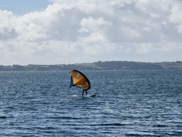 Erweiterte genetische Testung bei Brustkrebs – Ein Schritt zu neuen Therapieoptionen