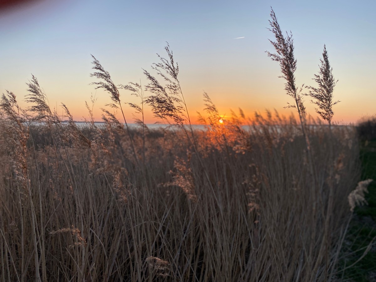 Wie man Künstliche Intelligenz (KI) sinnvoll bei einer Krebserkrankung nutzt – Ein Leitfaden für&nbsp;Patient:innen