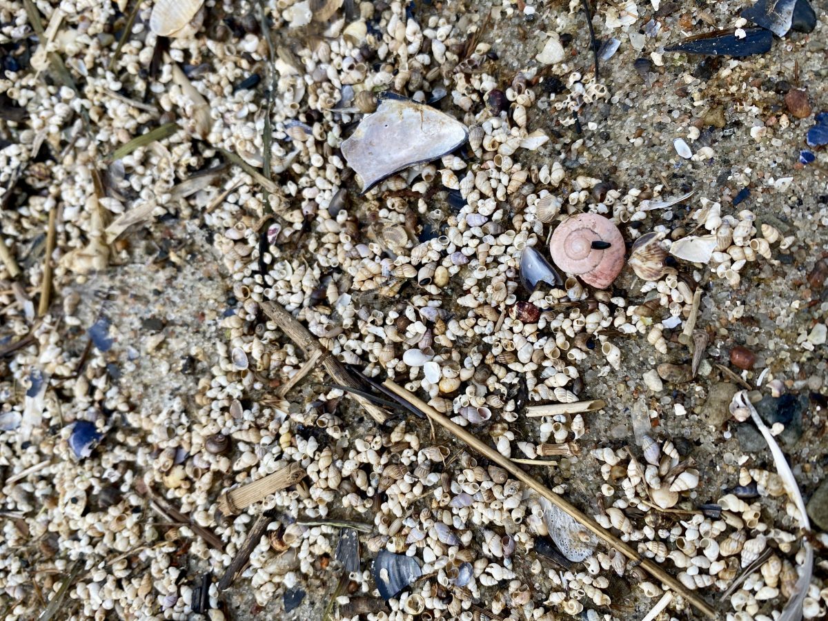 Präzisionsmedizin bei metastasiertem&nbsp;Brustkrebs