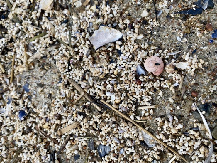 Präzisionsmedizin bei metastasiertem&nbsp;Brustkrebs