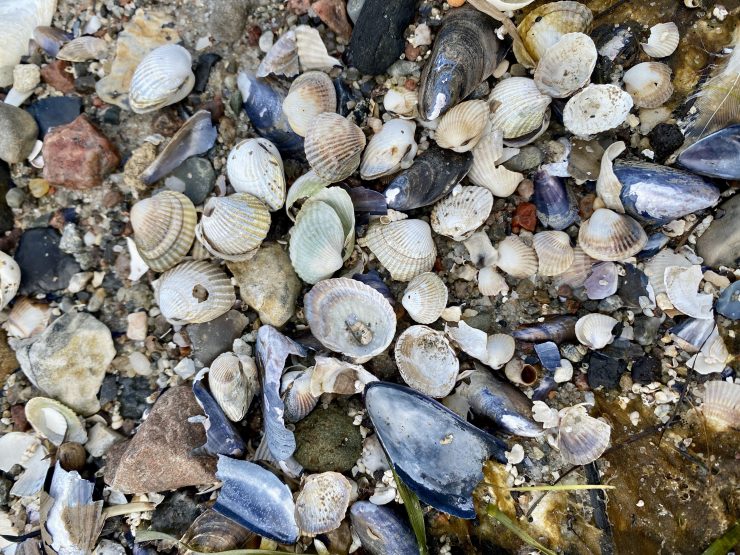 Die besten Podcasts rund um das Thema Krebs: Authentisch, informativ und&nbsp;bewegend