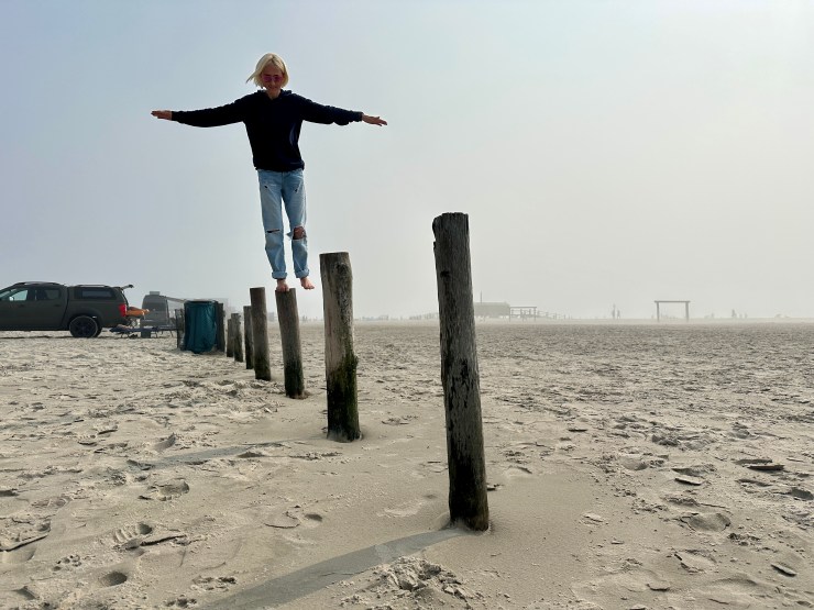 Wenn das Leben wackelt – Die Kraft der Lebenssäulen verstehen und&nbsp;stärken